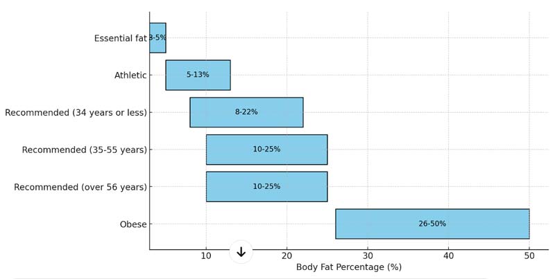 Bar graph illustrating different body fat percentage categories for men, marked with specific percentage intervals. Helping in understanding BMI and body fat percentage.