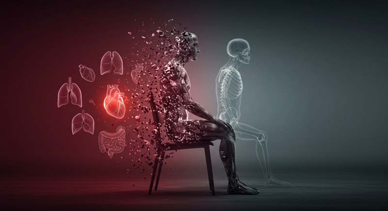 A seated human figure partially dissolves into fragments, surrounded by anatomical overlays of the heart, lungs, and digestive system, symbolising the physical impact of a sedentary lifestyle. The background shifts from dark red to grey tones, illustrating gradual decline.