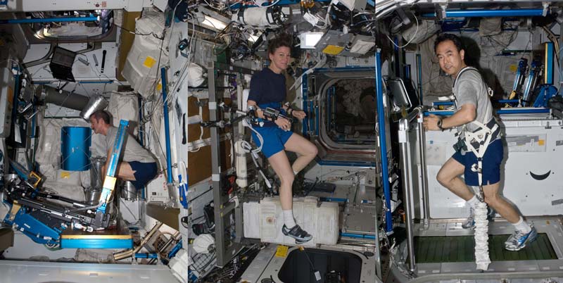 A composite image showing Canadian astronaut Chris Hadfield using the Advanced Resistive Exercise Device, NASA astronaut Catherine Coleman on the Cycle Ergometer with Vibration Isolation System, and Japanese astronaut Satoshi Furukawa running on the Combined Operational Load Bearing External Resistance Treadmill, demonstrating how the body needs resistance to stay strong in space.