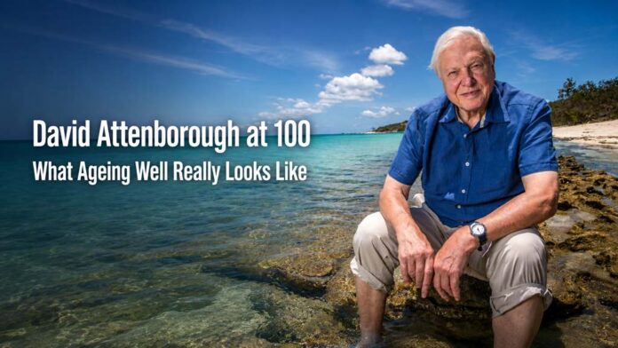 Graphic of Sir David Attenborough seated on rocks in shallow water at the Great Barrier Reef, circa 2015, with overlay text reading David Attenborough at 100 and What Ageing Well Really Looks Like, illustrating ageing well.
