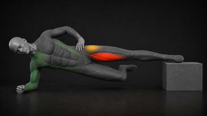 A clinical training mannequin displays strong inner-thigh and moderate outer-hip muscle activity during a supported side hold.