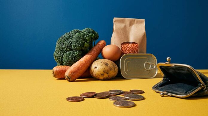 Coins and an open purse sit in front of broccoli, carrots, a potato, an egg, lentils and a tin of sardines.