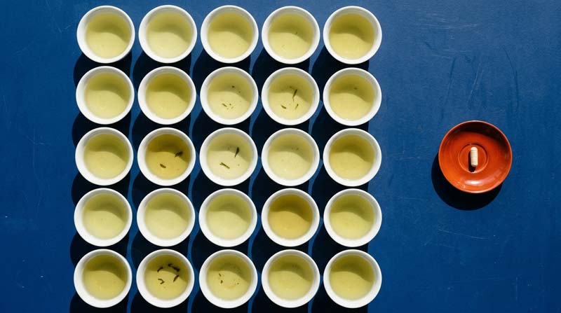 Twenty-five porcelain cups of green tea form a grid beside a red saucer holding a single capsule.