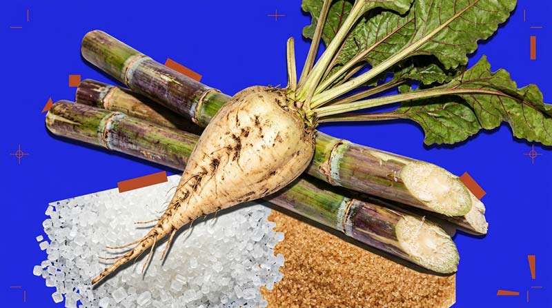A photographic collage of an ivory sugar beet and green cane stalks above white crystals and brown sugar granules against a blue background.
